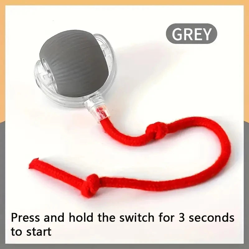 Electronic Interactive Pet Toy Moving Ball.