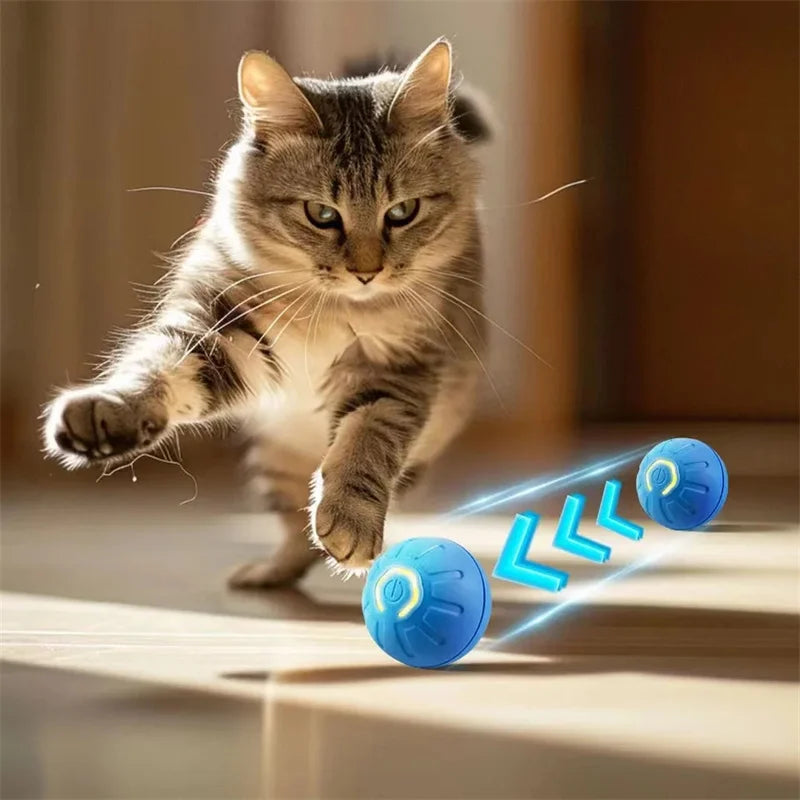 Electronic Interactive Pet Toy Moving Ball.